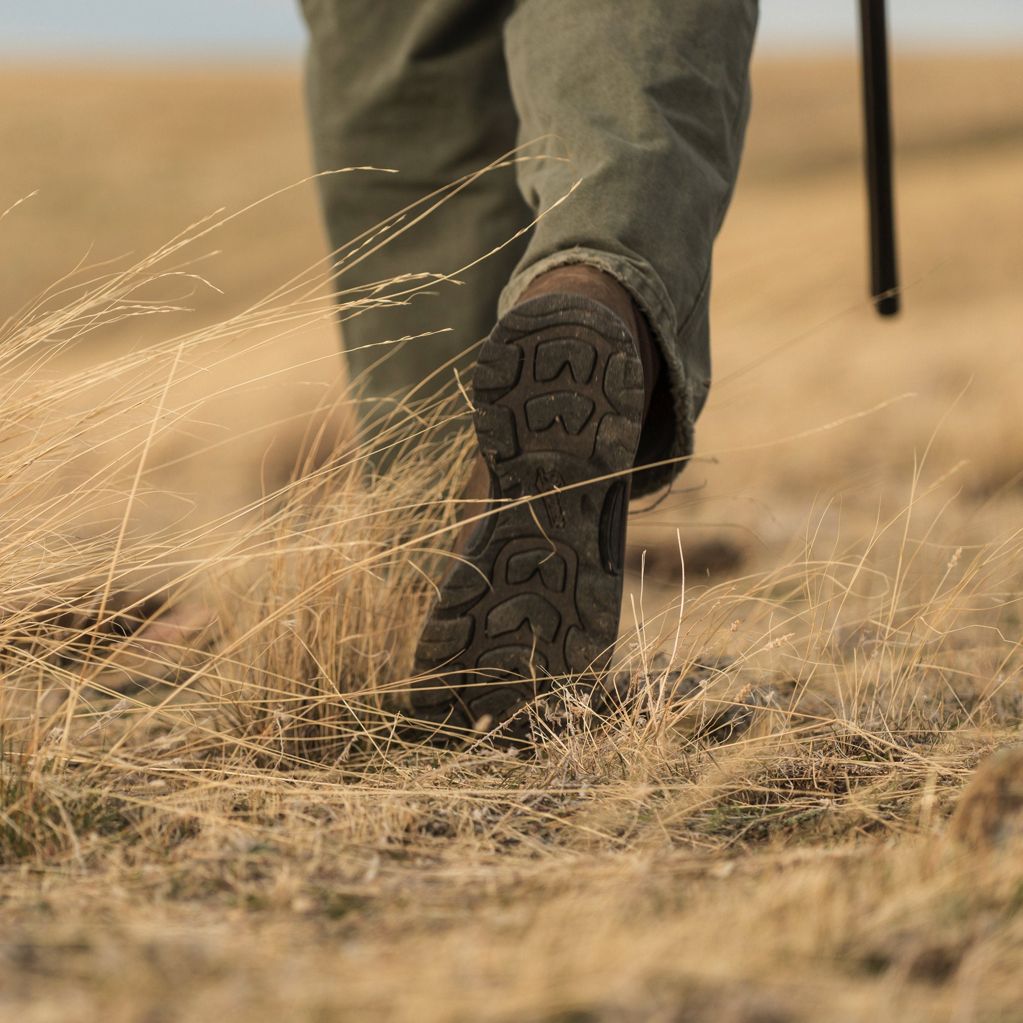 Danner Sharptail 8" Dark Brown