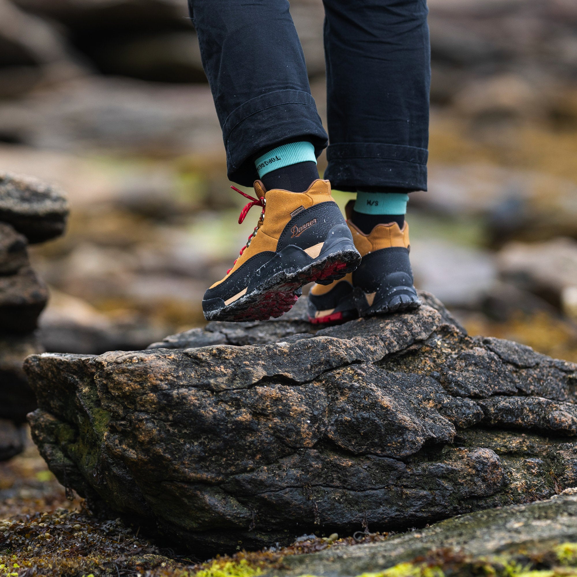 Danner Women's Panorama Mid Brown/Red Hiking Boot