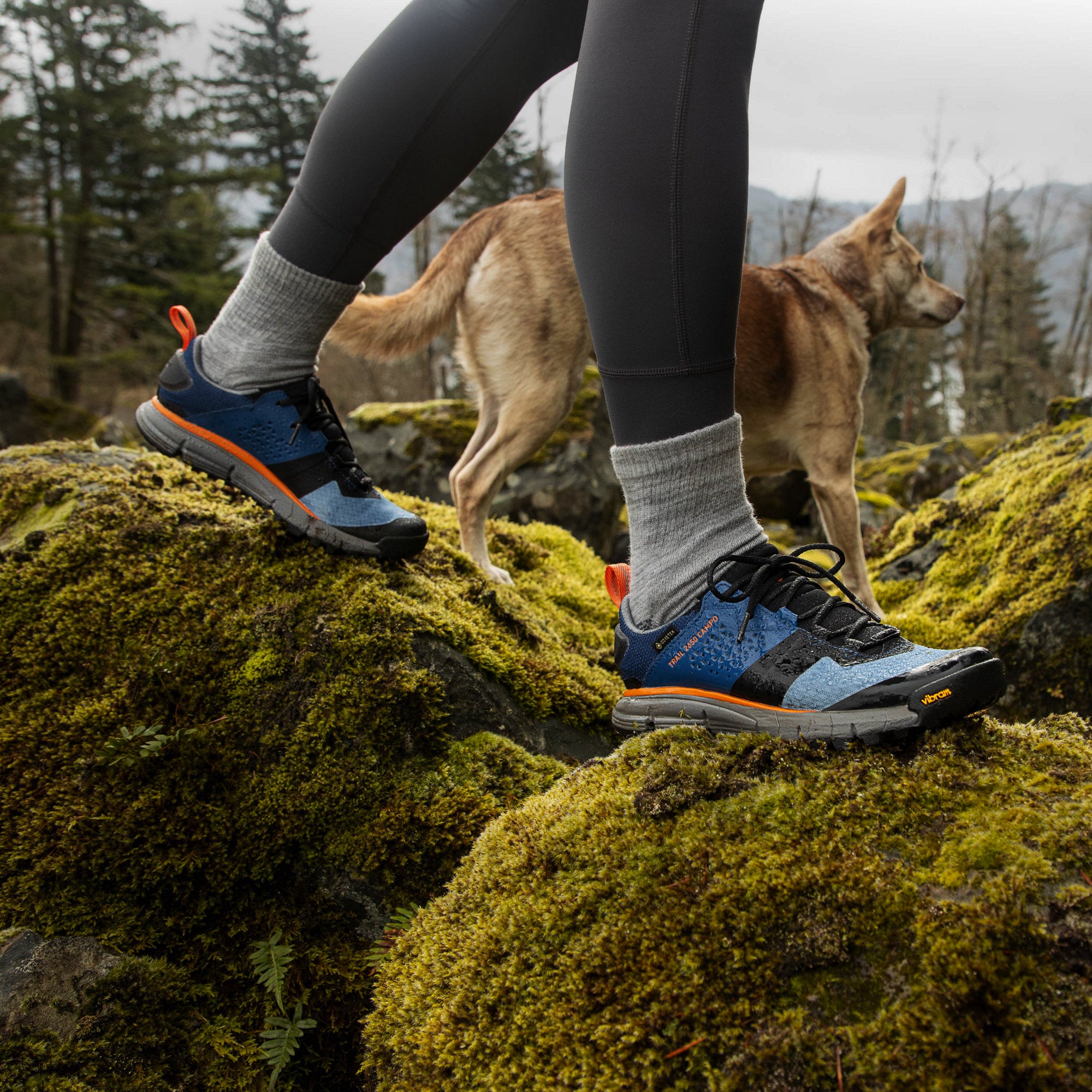 DANNER Women's Trail 2650 Campo 3" Blue/Orange GTX Shoe